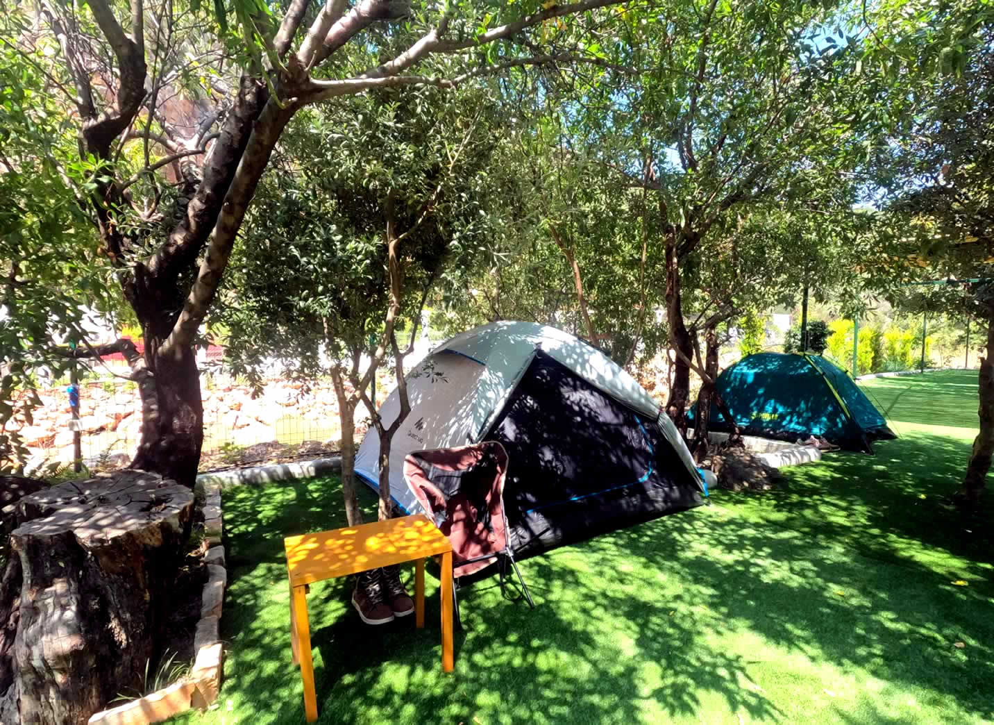 Harnup Camping — photo 2